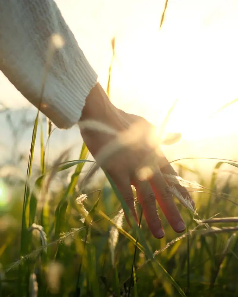 Hand streicht durch das grüne Gras