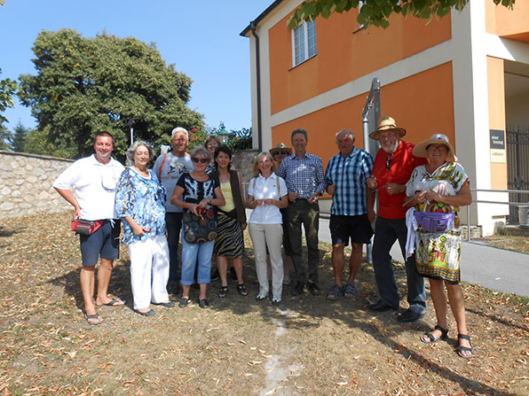 Hand hält Löwenzahn und hält ihn zum blauen Himmel