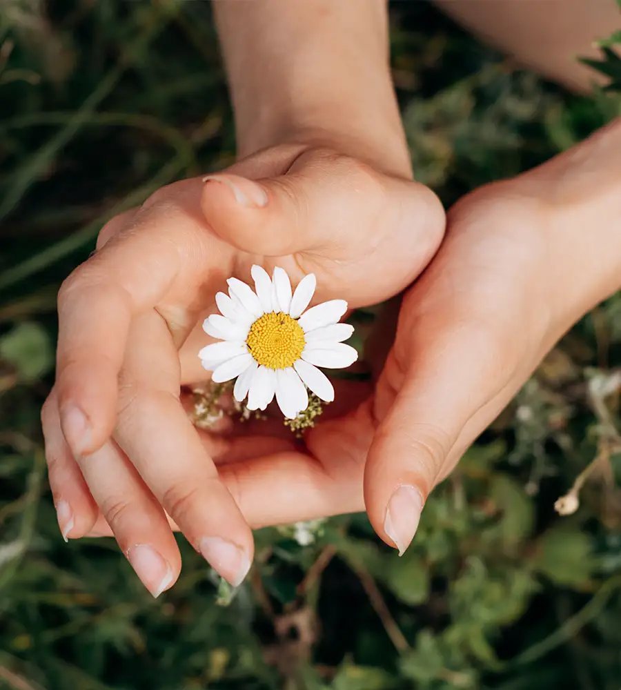 eine Schnittblume in der Hand